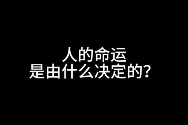 只修性不修命的人是什么样的人？探秘内心的成长与蜕变