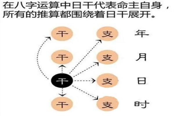 只旺别人的命：探讨命运变迁与个人选择的关系