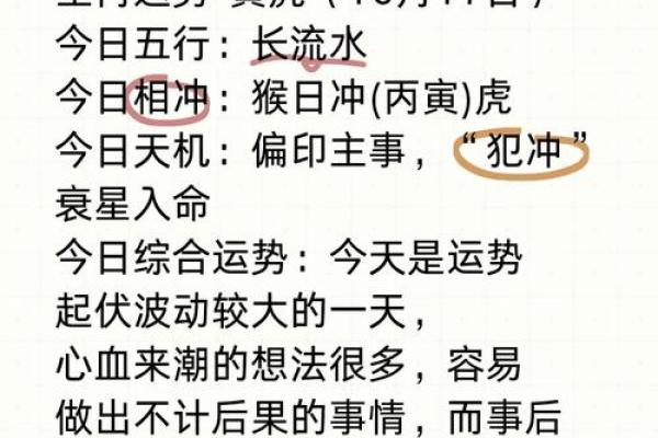 四十八岁属虎男的命运解析：人生转折与机遇的交织