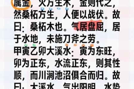 辛亥女命的水命与木命解析：揭示命理的奥秘与人生方向