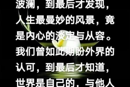 探讨《上等命与下等命》的深意：人生的选择与命运的交织