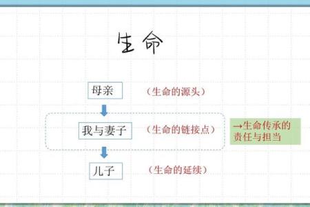 长命与短命：探索生命的奥秘与秘诀