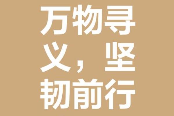 一月二十六属虎的命运解析：勇往直前的生命轨迹与性格特征