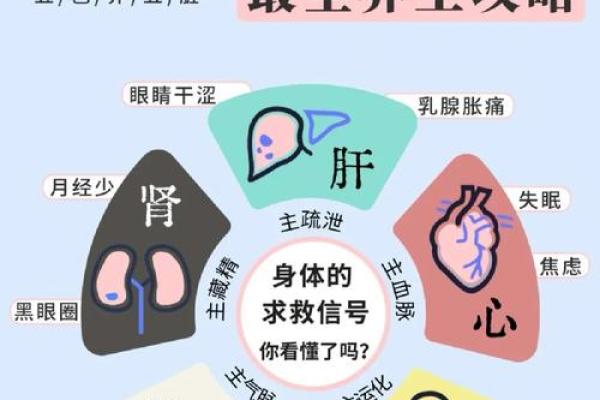 探寻南昌话中的“心肝命肝”及其深刻含义