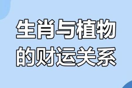 旺盛生命力与牛木命：选用适合的客厅植物提升运势