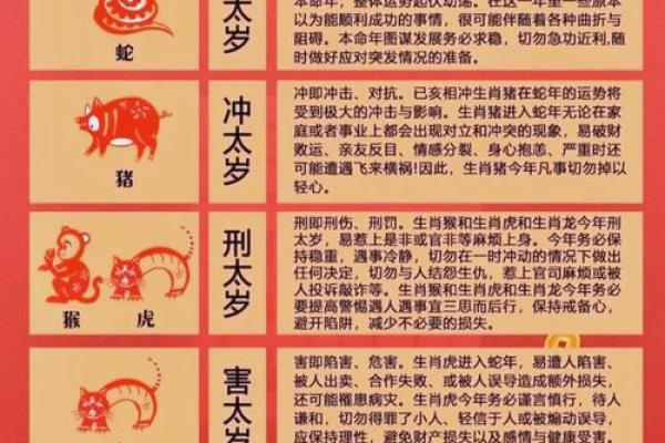 阳女土五局生肖虎的命运解析与发展策略