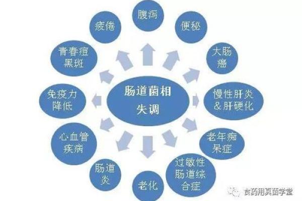 童子命的秘密：揭开与健康隐患的关系