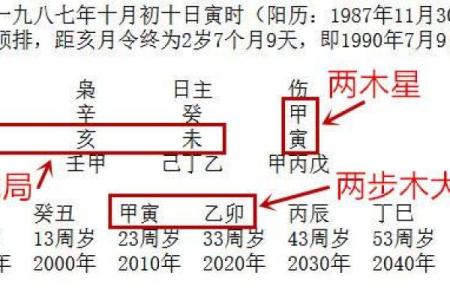 双水命人士适合的职业选择与发展建议