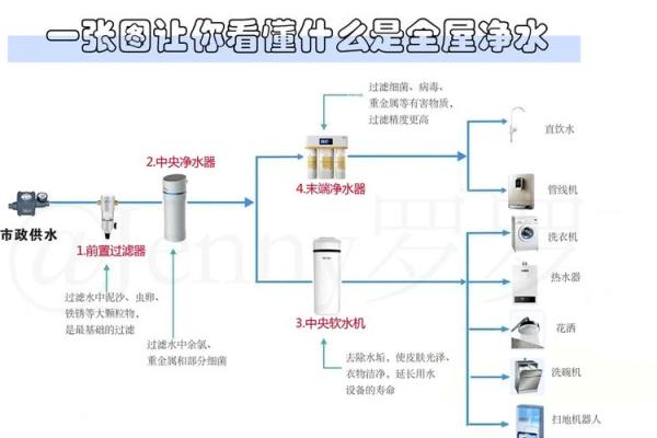 水命家庭的禁忌与和谐居住环境的秘诀