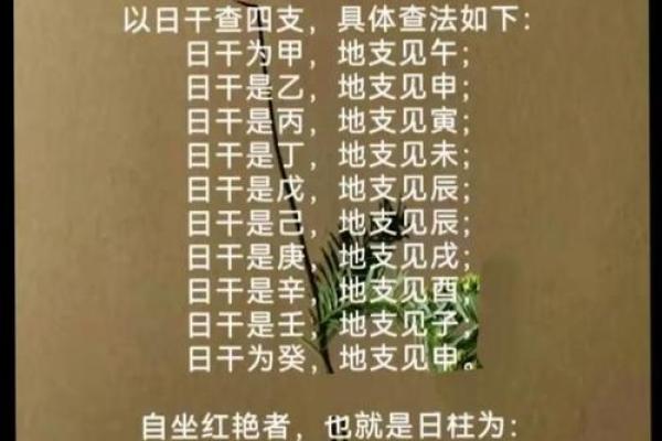 戌时出生的人命运解析：揭秘命理背后的奥秘与机遇