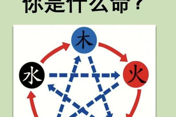 探索一九三一年出生的命格：五行中的精彩人生