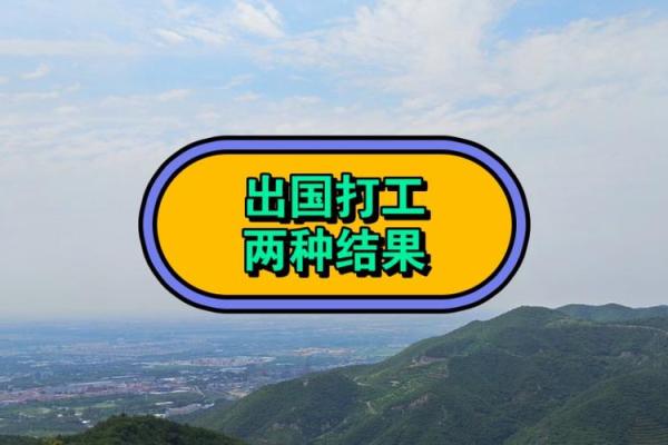 探寻你的命运：是创业老板还是职场打工者？