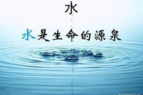 探究五行木与水的奇妙关系：命理中的元素与人生智慧