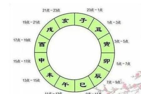 探究己亥平地木命运：如何有效利用命理提升生活质量