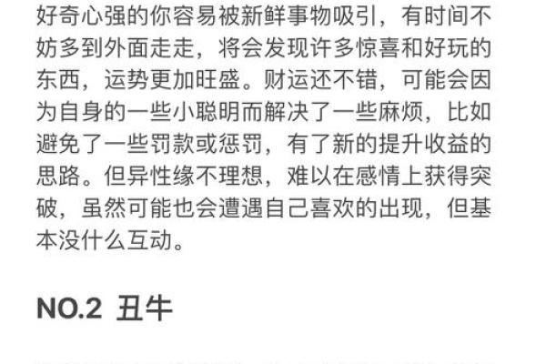 探秘壬寅年巳时出生者的命理特征与运势解析