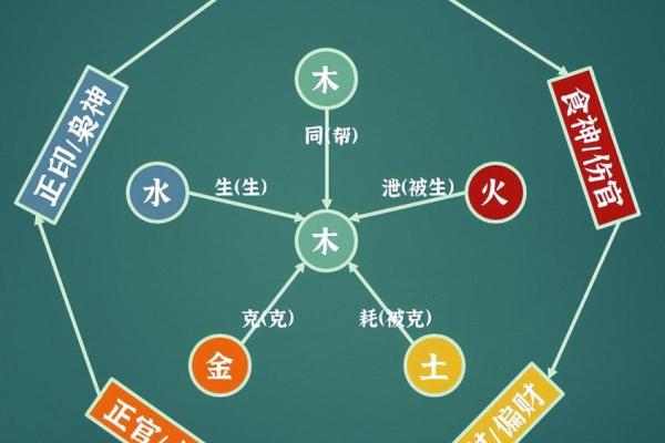 为什么人们将“火命”和“木命”分开解析，探寻命理的奥秘