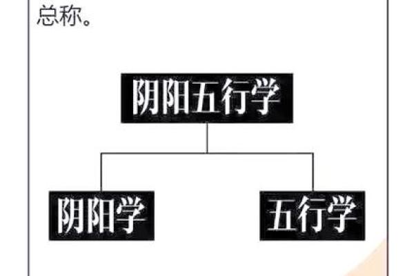 忠林：五行命理解析与人生哲学