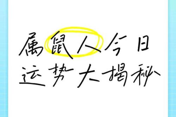 探索72年属鼠命的独特人生智慧与运势解读