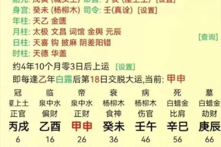 探秘高命天子命格：解读你的命运密码与人生潜能