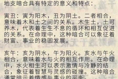 通过命理传统揭示个性与命运的奥秘