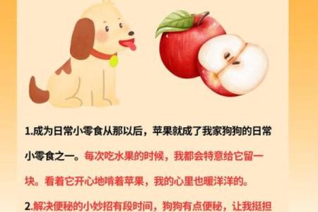 羊与狗的缘分：动物命理中的奇妙联系