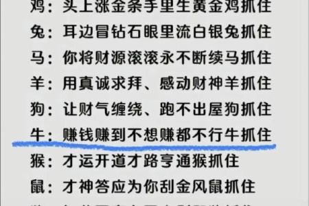 探索72年属鼠命的独特人生智慧与运势解读