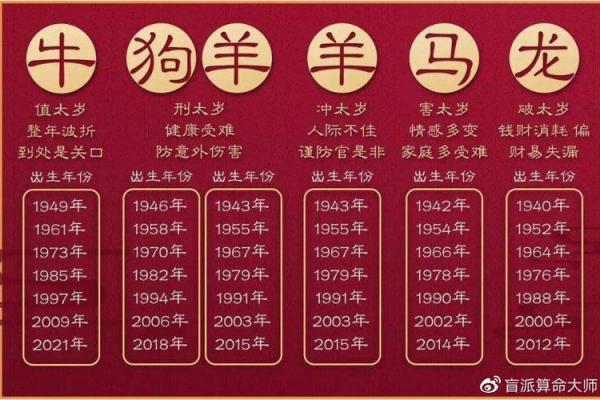 辛命与子命的深层解析：探寻命理的秘密与运势之道