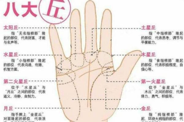 探索食指与无名指平行的命理奥秘与人生启示