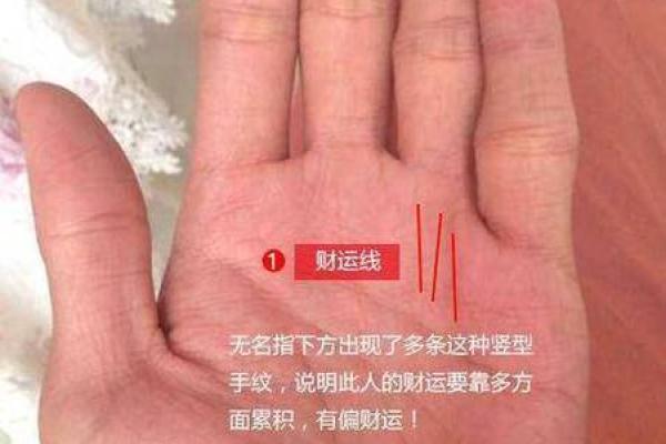 探索食指与无名指平行的命理奥秘与人生启示