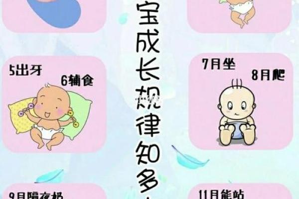 探秘十一月六日出生的命运：独特性与未来的指引