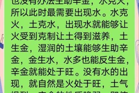 辛命与子命的深层解析：探寻命理的秘密与运势之道