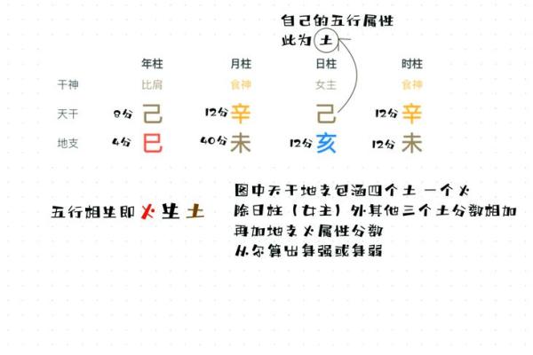 探索日柱己亥的独特命格与人生智慧