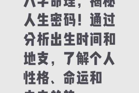 属猪申时猴林中游玩，探寻命理奥秘与人生哲理