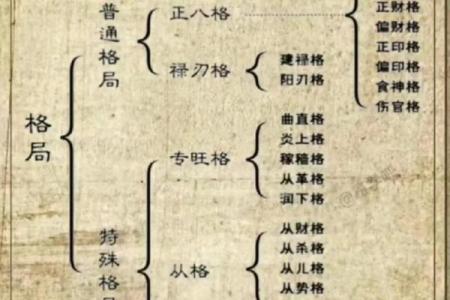 影响八字的因素：揭示女人易离婚生子的命理隐秘