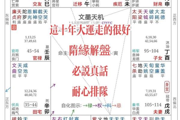 探秘紫微命格：哪些人更适合创业？