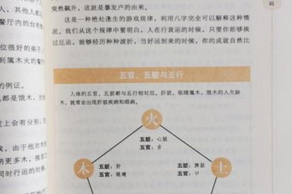 探寻桑拓木命：理解命理与人生的深层联系