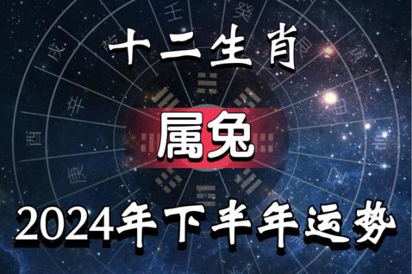 四十八岁属兔命理解析：如何发挥优势，迎接人生挑战