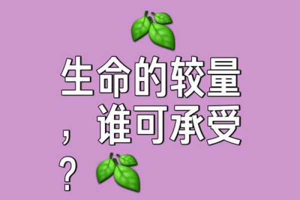 有劳碌命还有什么命：探寻生活的另一种意义与可能