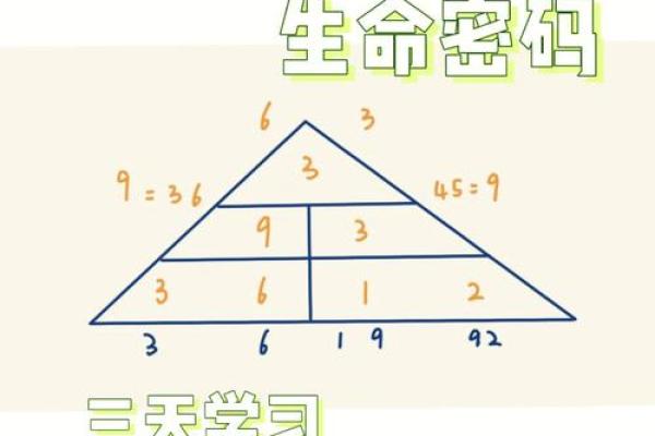 探秘兰花命与宝塔命：你知道你的命理密码吗？