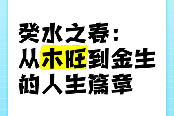 探秘癸水命人的独特风采与人生之道