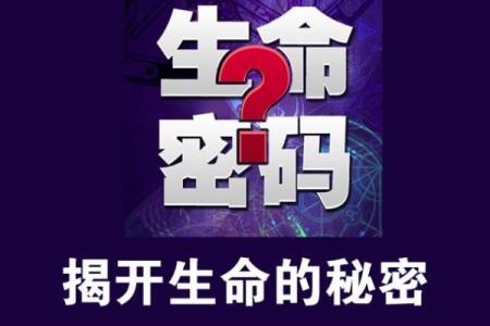 探秘兰花命与宝塔命：你知道你的命理密码吗？