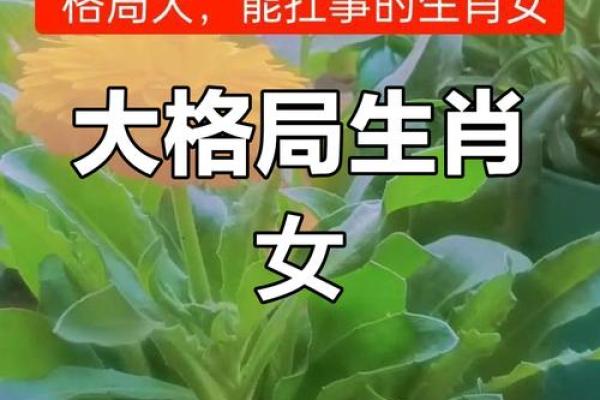 鼠年出生的女孩命运揭秘：她们的幸运与挑战