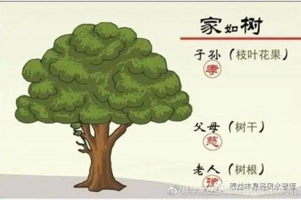 长相与运势：牵动命运的外貌密码探秘