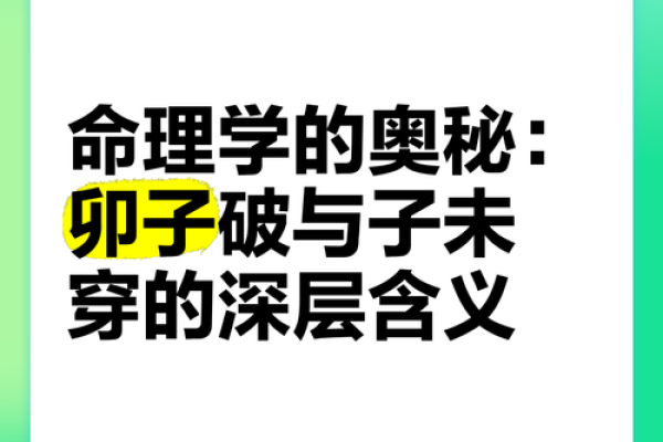 探索命理：寅卯子巳之命在生活中的启示与应用