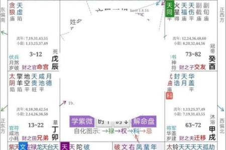 正月出生的命格解析：探寻神秘的命理之旅