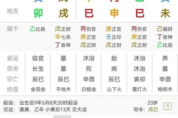 探秘乙木命：掌握命理中的独特魅力与人生方向