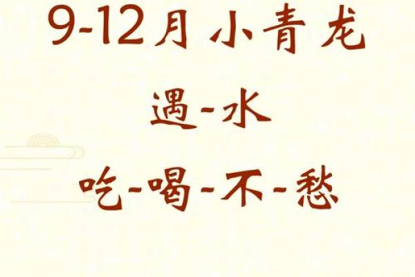 水命人开公司取名之道：成功的秘诀在于名字的力量