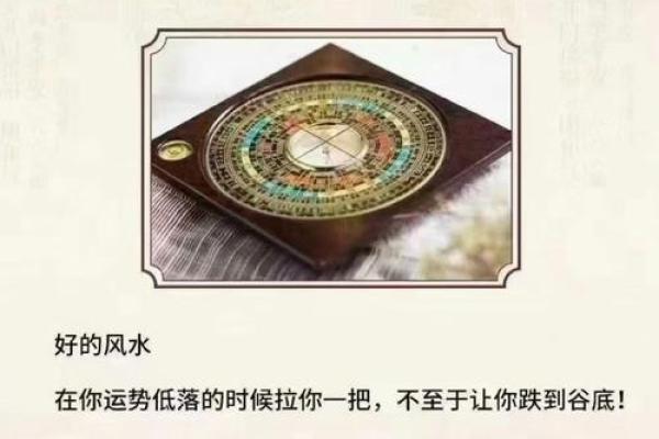 水命冲门屏风适合放置的花卉与风水解析
