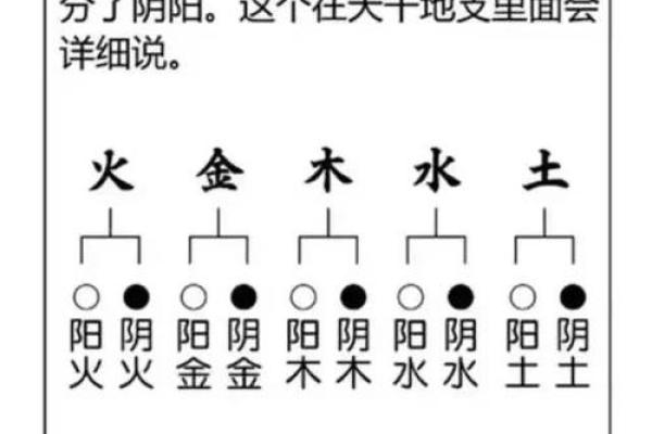 算命揭秘：为何很多人认为只有儿子命更旺盛？