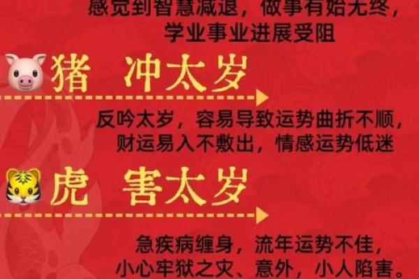 真正逆天改命的生肖：带你走向人生巅峰的神秘生肖